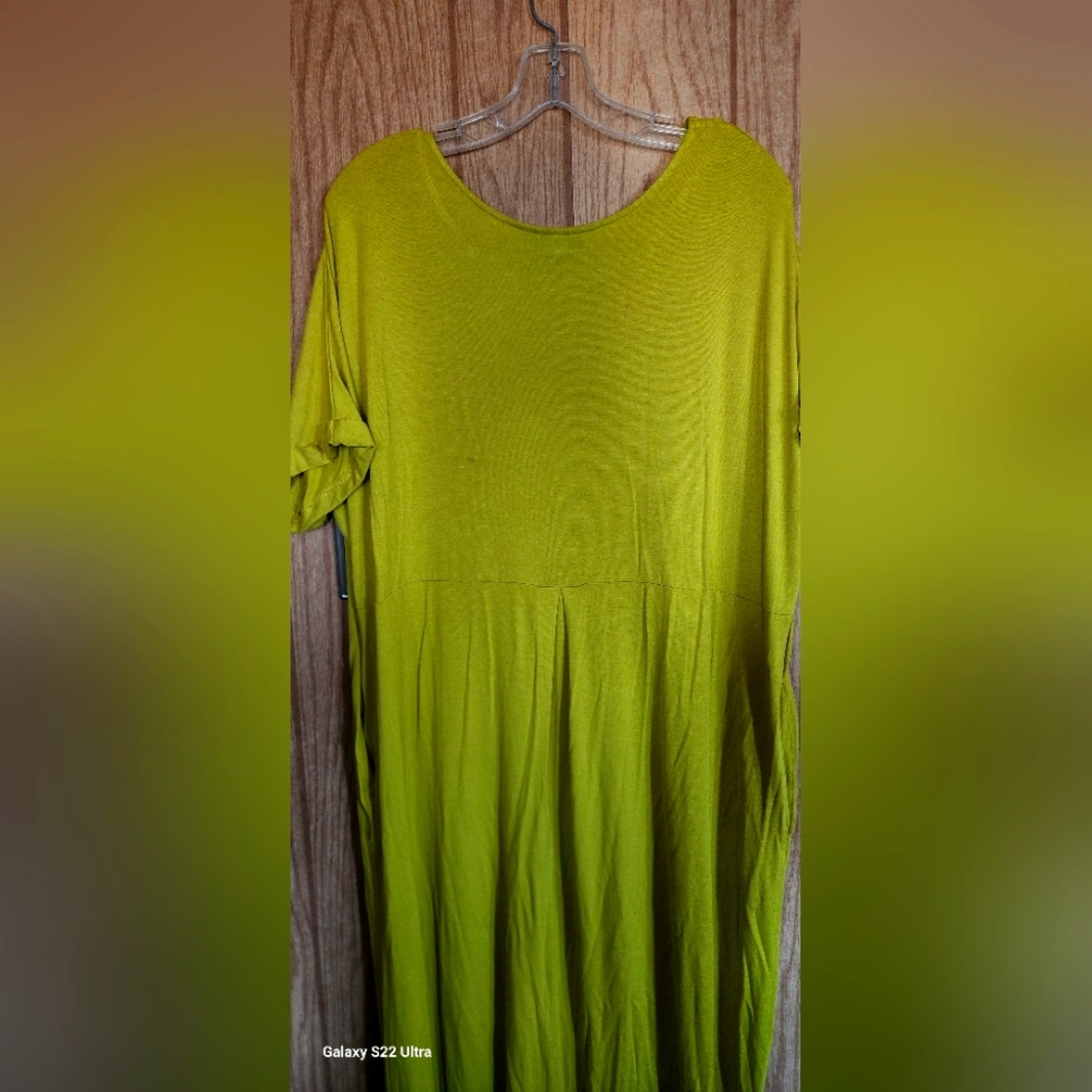 Ashley Stewart size 18/20 long dress